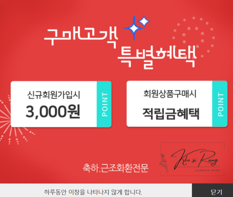 꼬시랑 이미지
