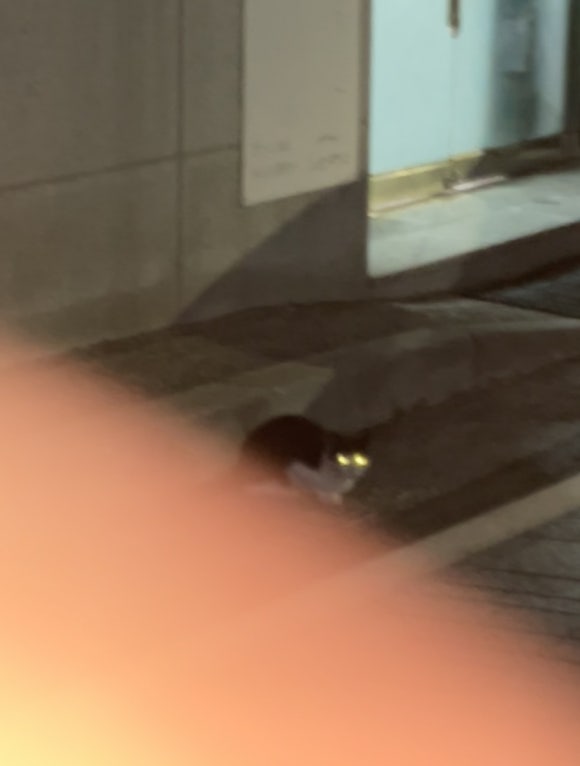 보은로3길 이미지