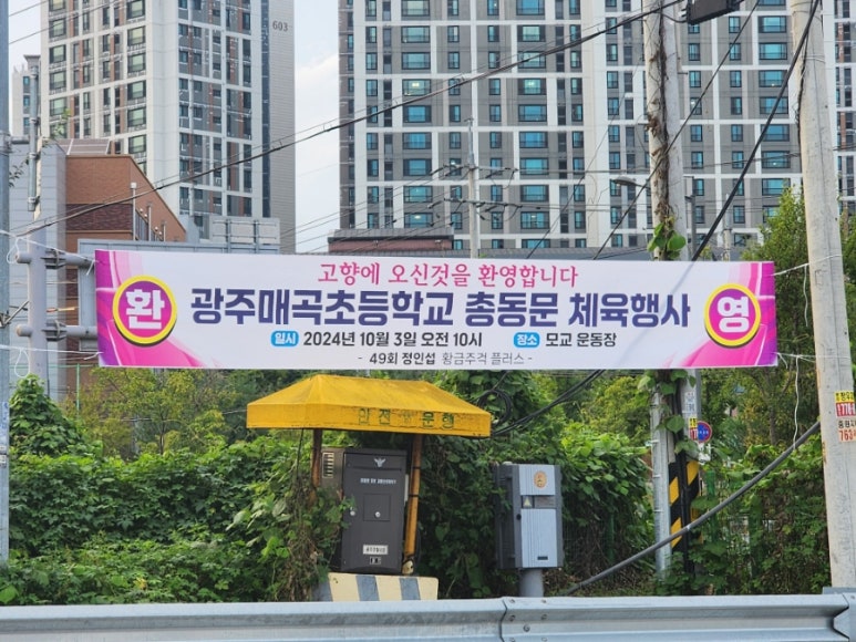 황금주걱 플러스 이미지