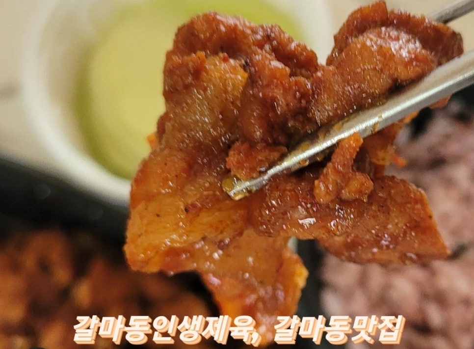 인생제육대전 이미지