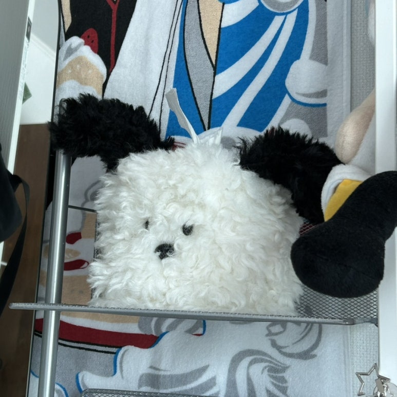 복복케이스 이미지