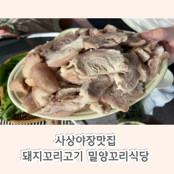 밀양꼬리식당 이미지