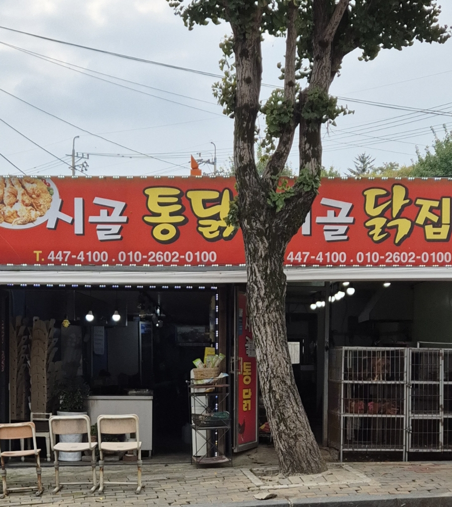 시골닭집 이미지