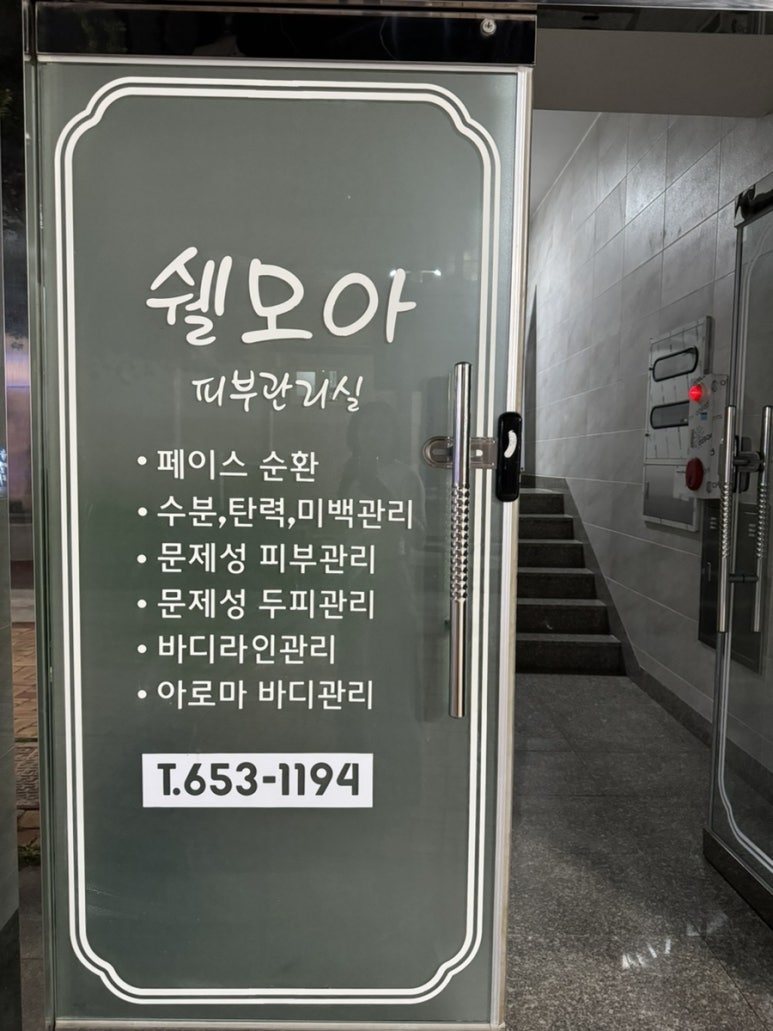 쉘모아 이미지