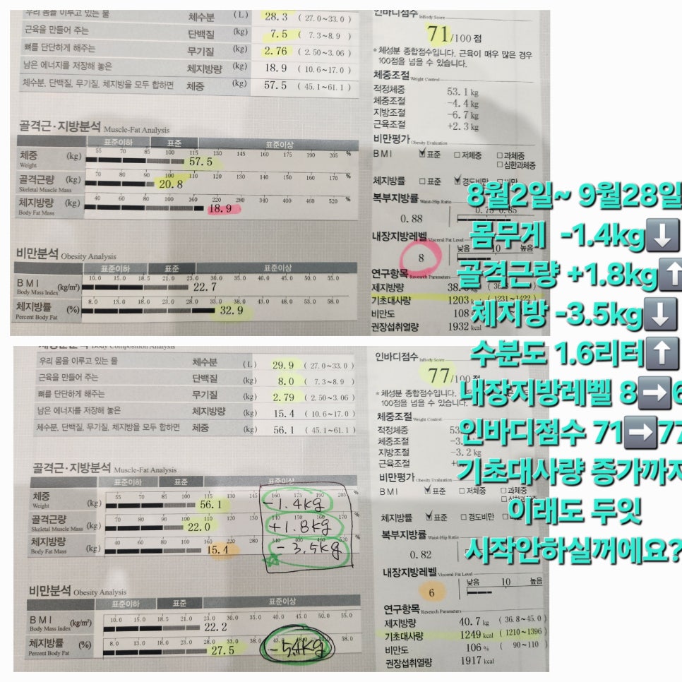 셀포랩스타 이미지