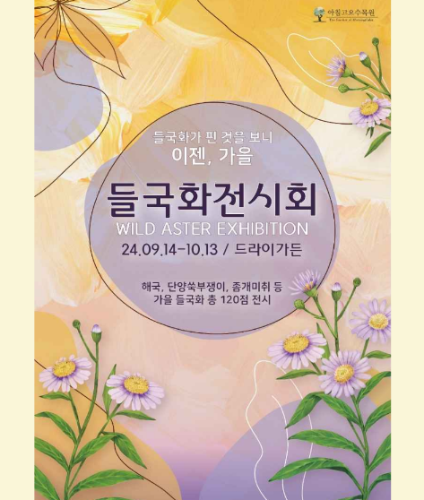 들국화가든 이미지