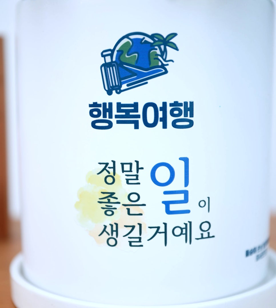다온여행사 이미지
