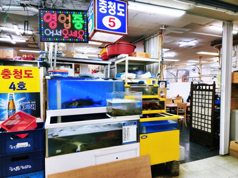 충청도4호 이미지
