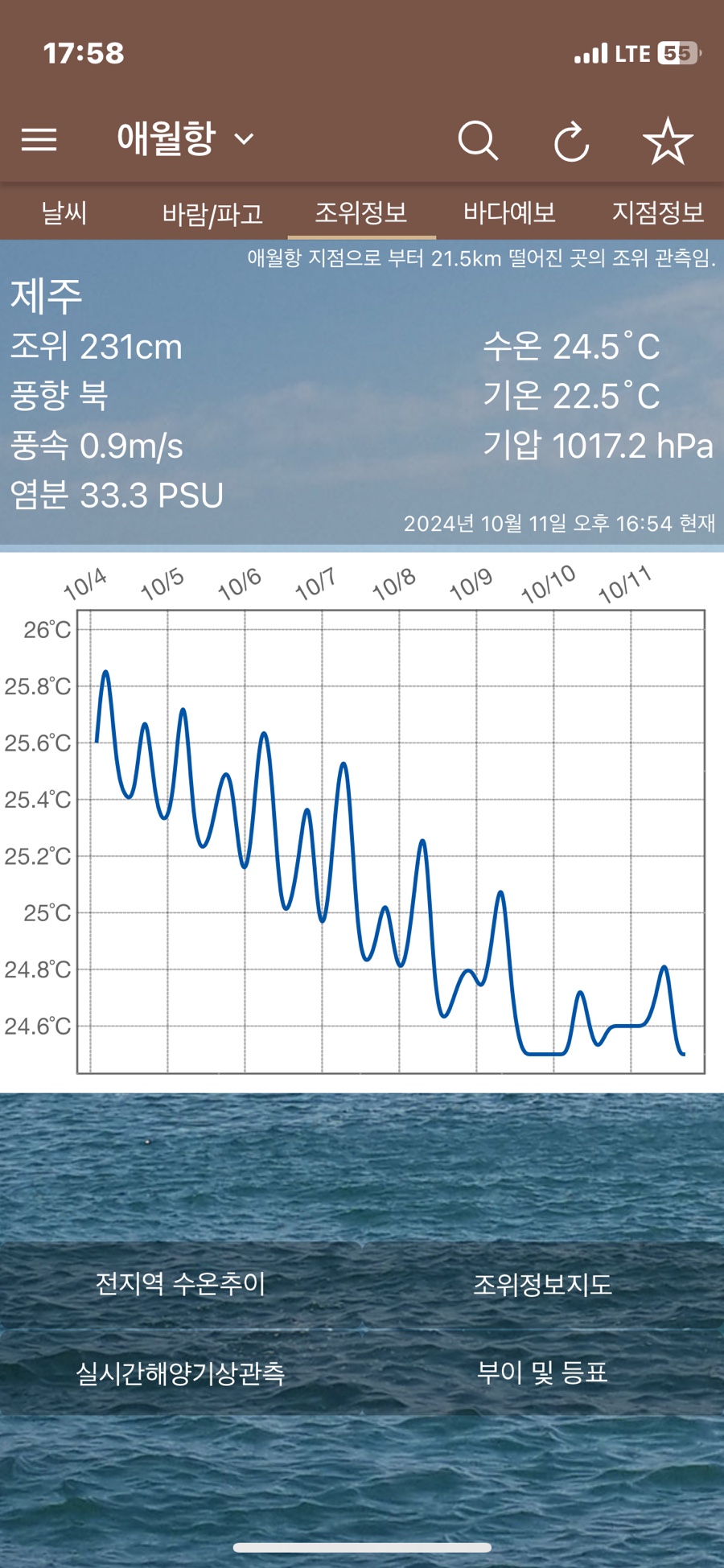 홀리데이호 이미지