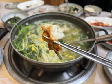 평화복어 이미지