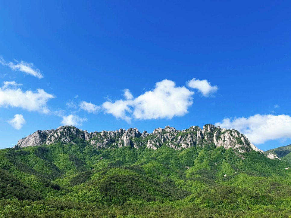국악스튜디오열두달소리 이미지