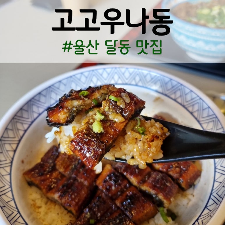 나동장어 이미지