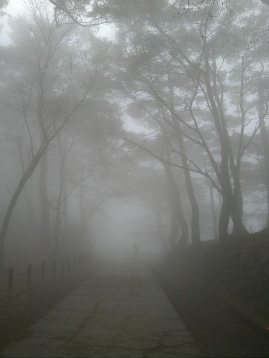더꿈 이미지