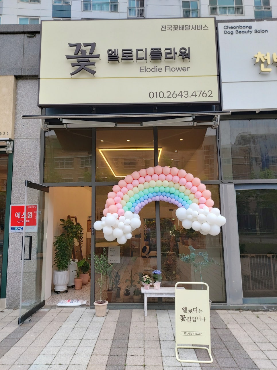 엘로디플라워 이미지