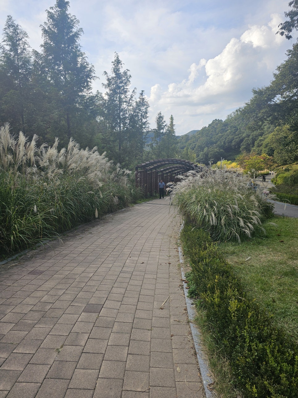 지우통상 이미지