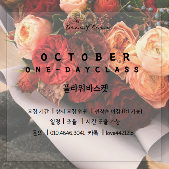 바바플레르 이미지