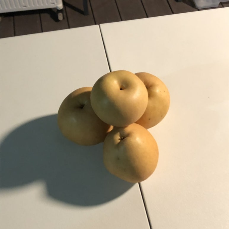 별빛마루관광농원 이미지