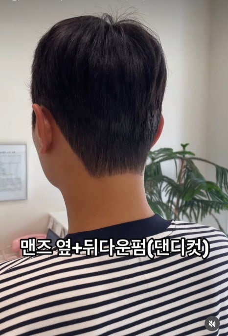 비커밍헤어 이미지