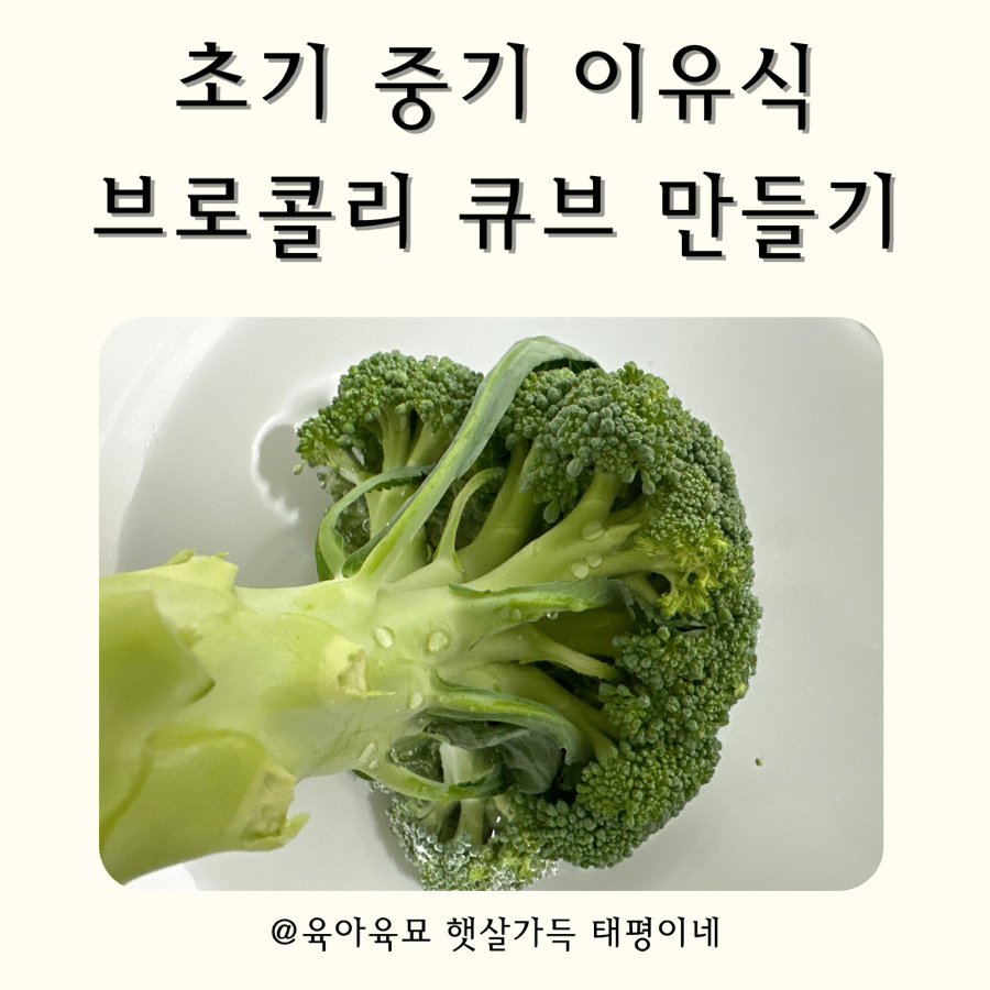태평중기 이미지