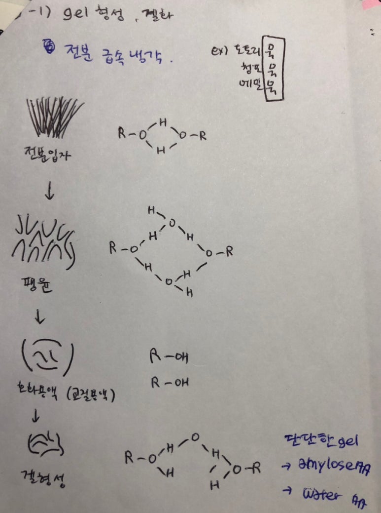 호정화랑 이미지