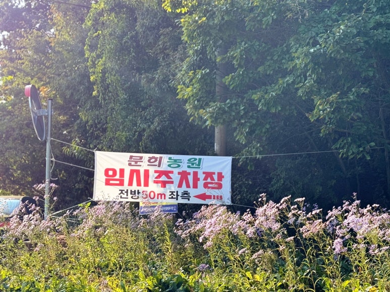 문희꽃밭 이미지