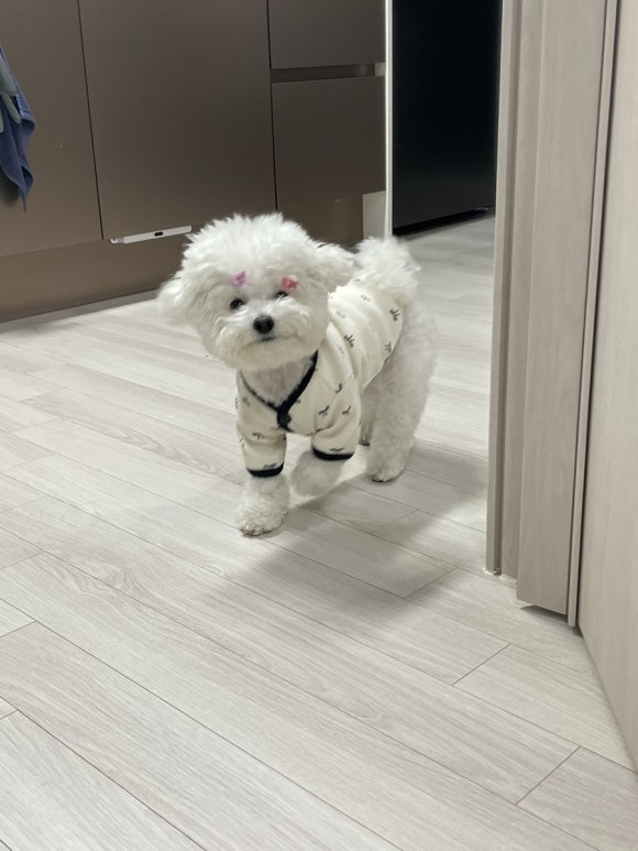 스위치오프 이미지