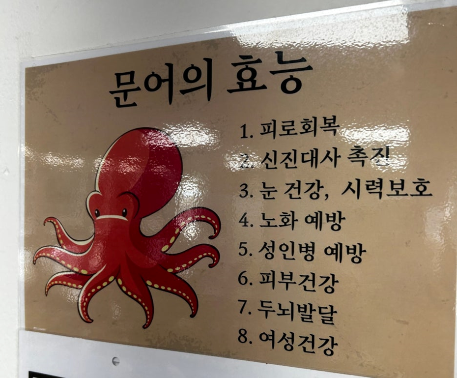 홍문어 이미지
