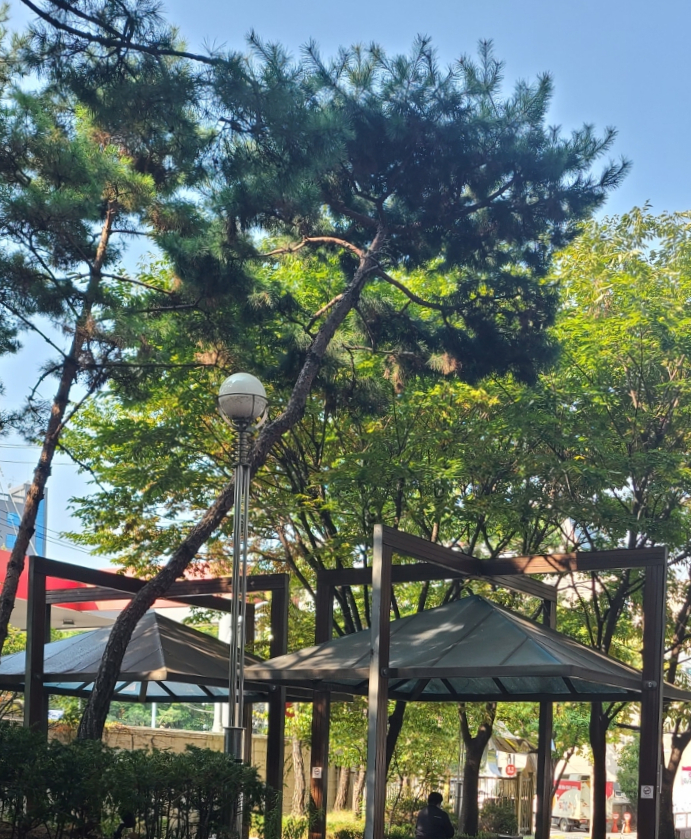마우디브런치바 이미지