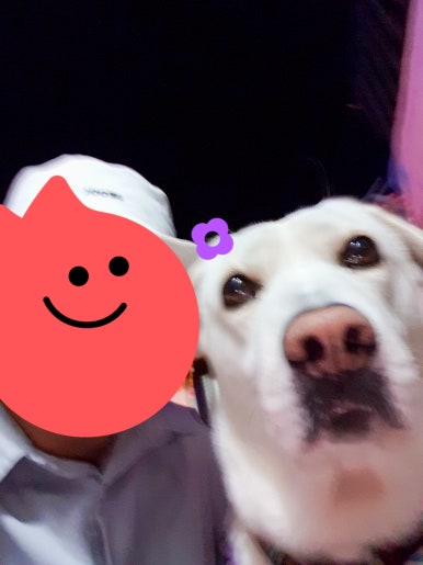 카페효차 이미지