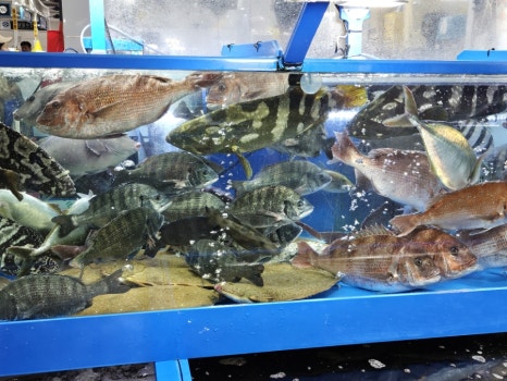 삼원농수산물 이미지