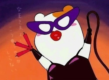 돼지이야기 이미지