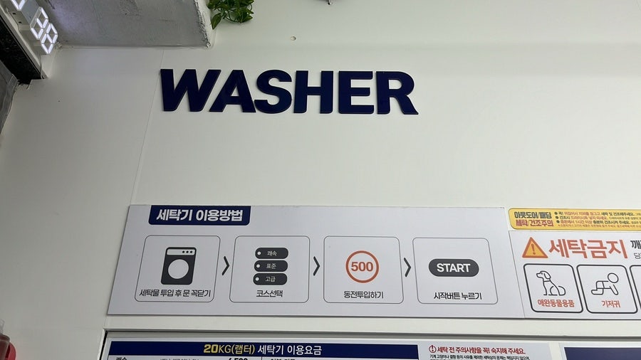 몬스터워시인계 이미지