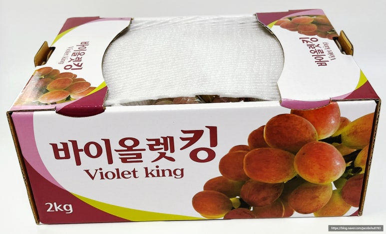 쿠움 이미지