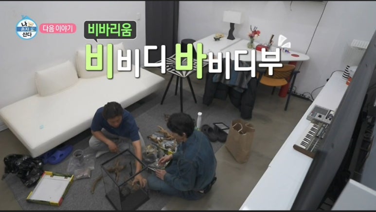 마이온네이처 이미지