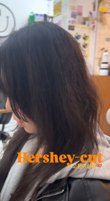 회기살롱 이미지