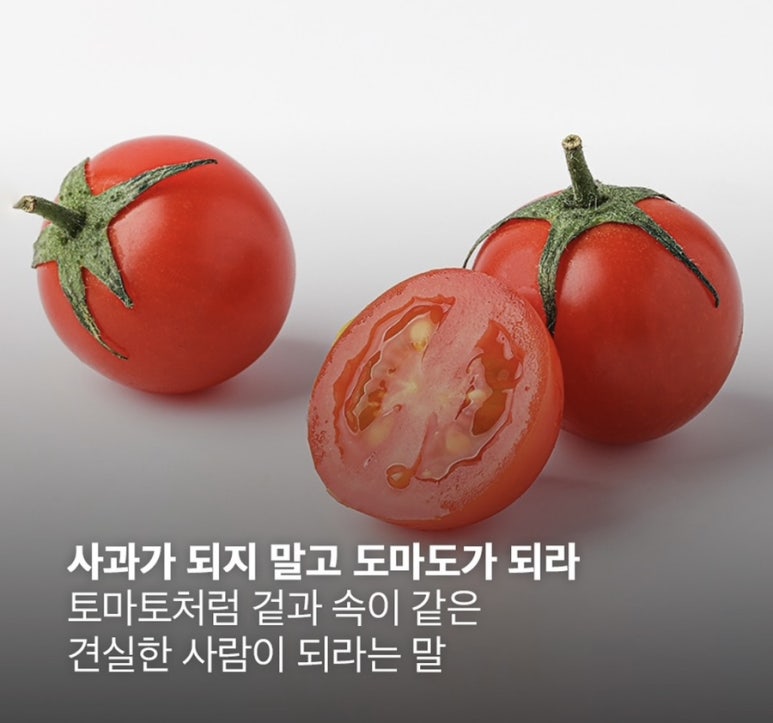 도마도마도 이미지