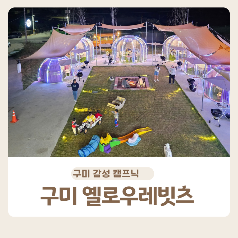 옐로우레빗츠 이미지