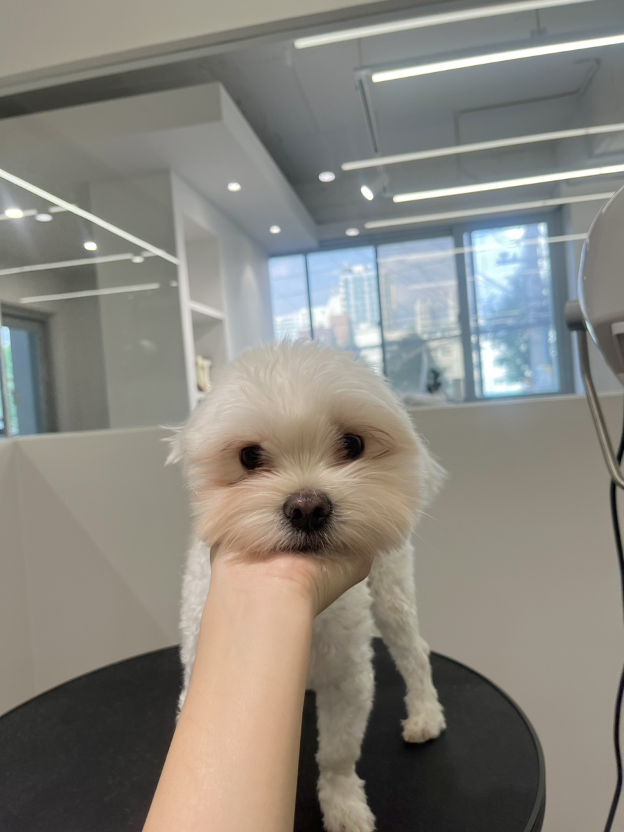 위드스테이부산 이미지