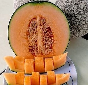 선미푸드 이미지