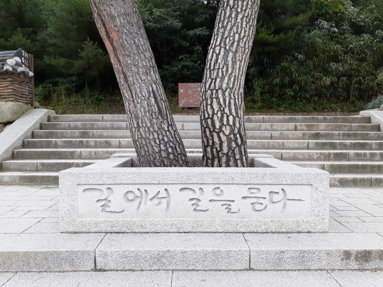 선행정사사무소 이미지