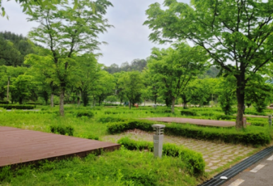숲속 이미지