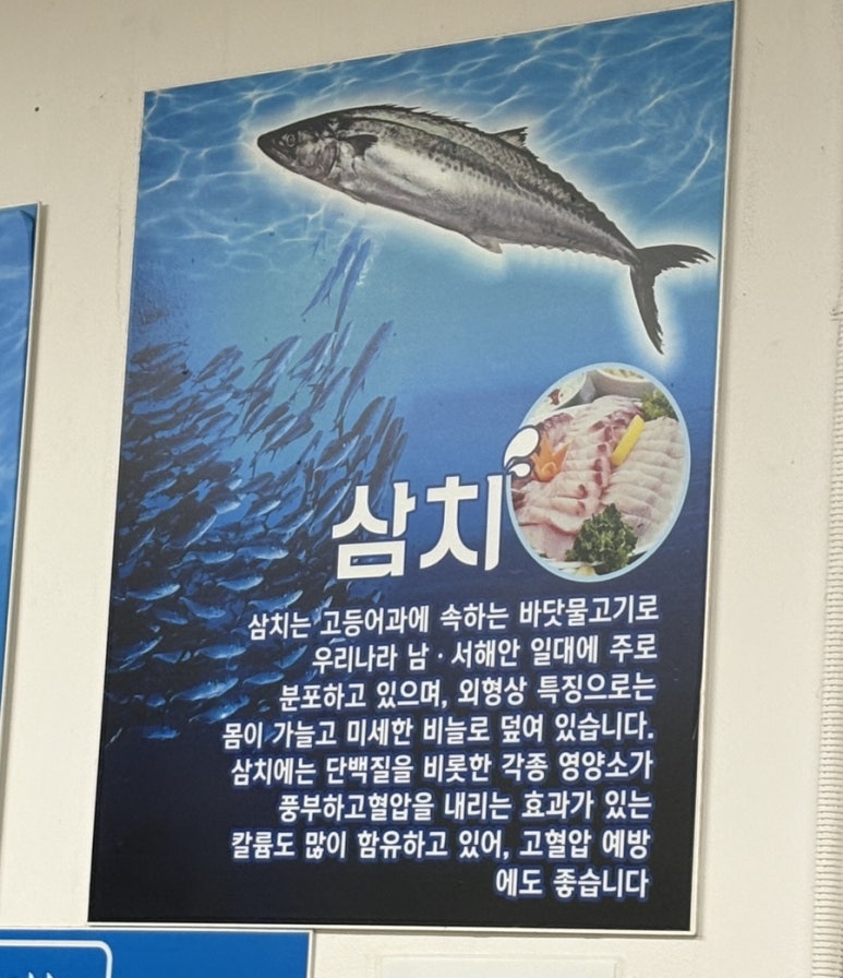 삼치회사랑 이미지