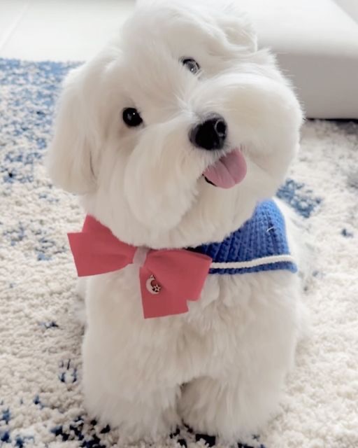 족발하우스 이미지