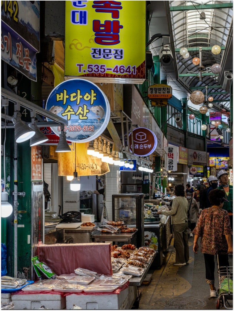 도마큰만두 이미지