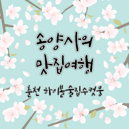 하이볼술집수컷웅춘천강원대점 이미지