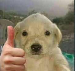 캐릭터 서사 검증 6단계