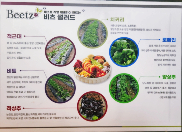 고래한입피자&비츠샐러드 이미지