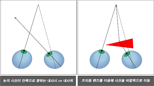 루아이즈 이미지