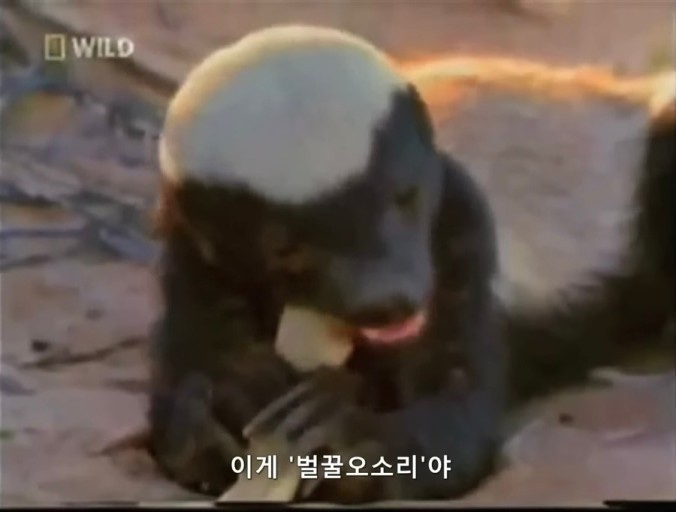 아이엠제이 이미지