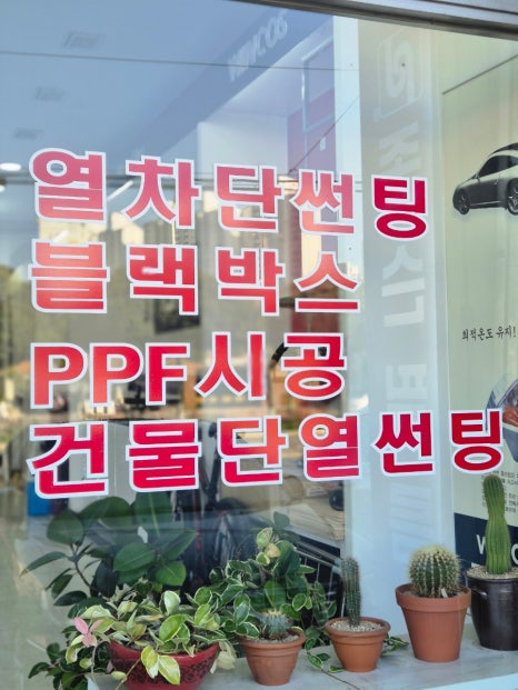 윤프로썬팅 이미지